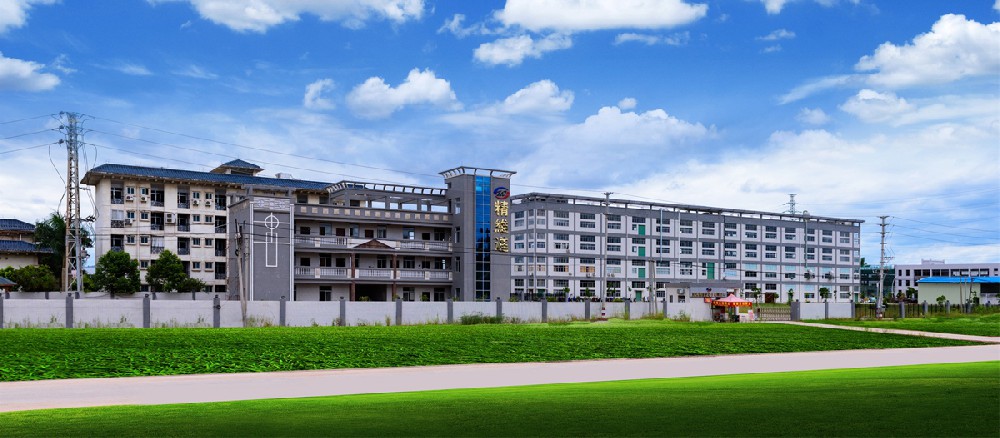 兴宁市精维进电子有限公司